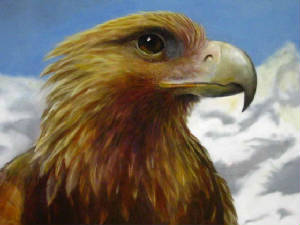 goldeneagle.jpg