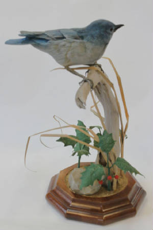 mt-bluebird-carving.jpg