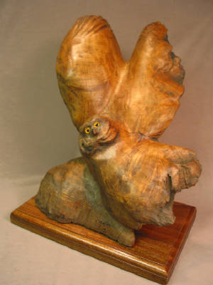 owl.jpg