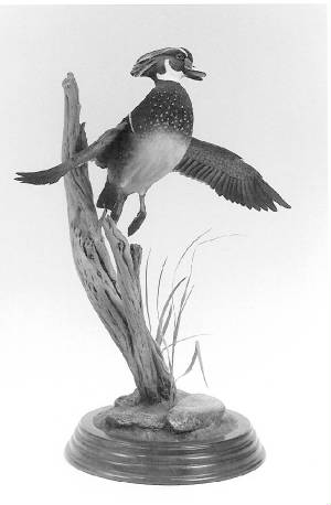 woodduckcarving.jpg