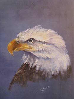 baldeagle.jpg