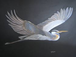 blueheron.jpg