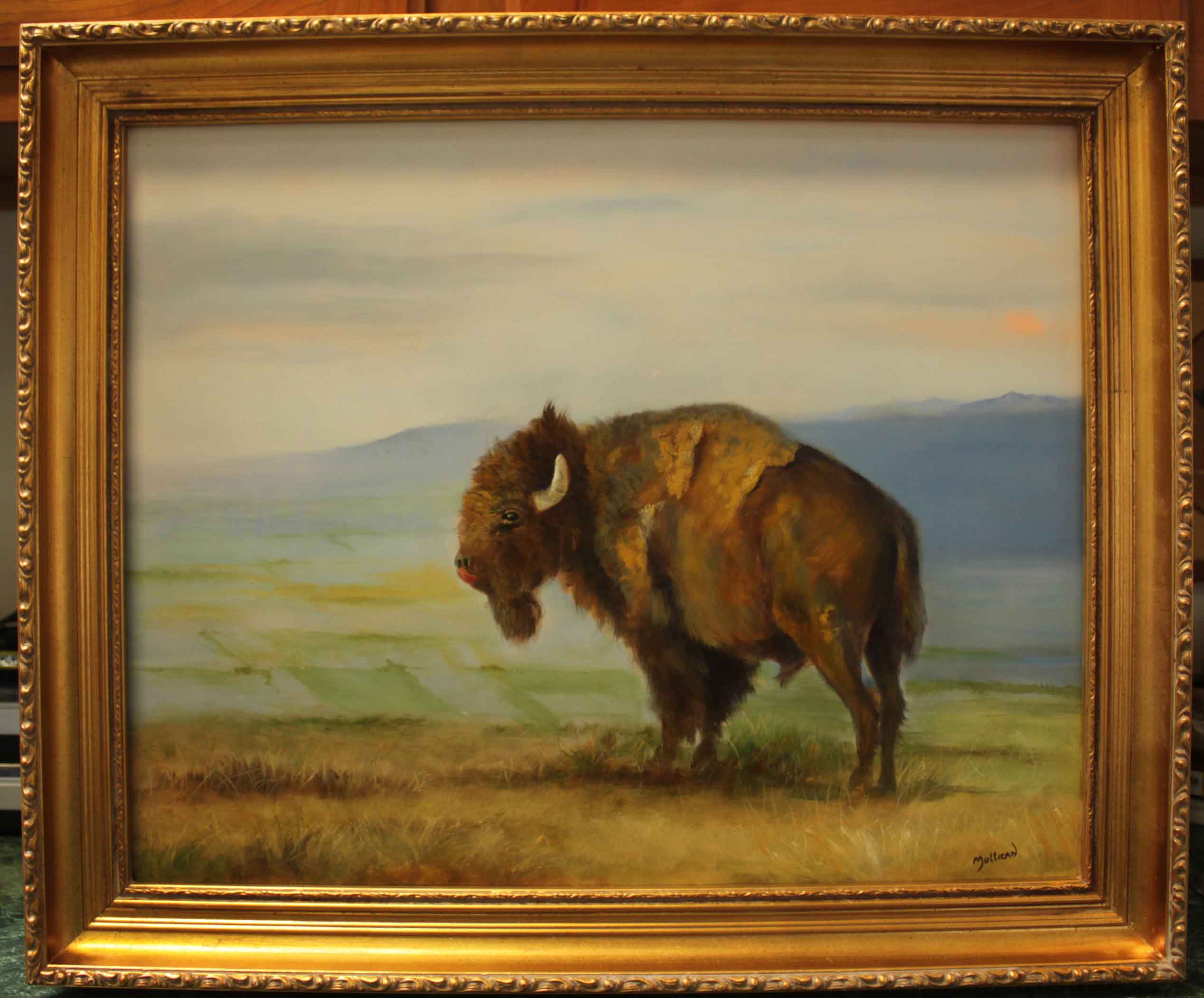bufffalo.jpg