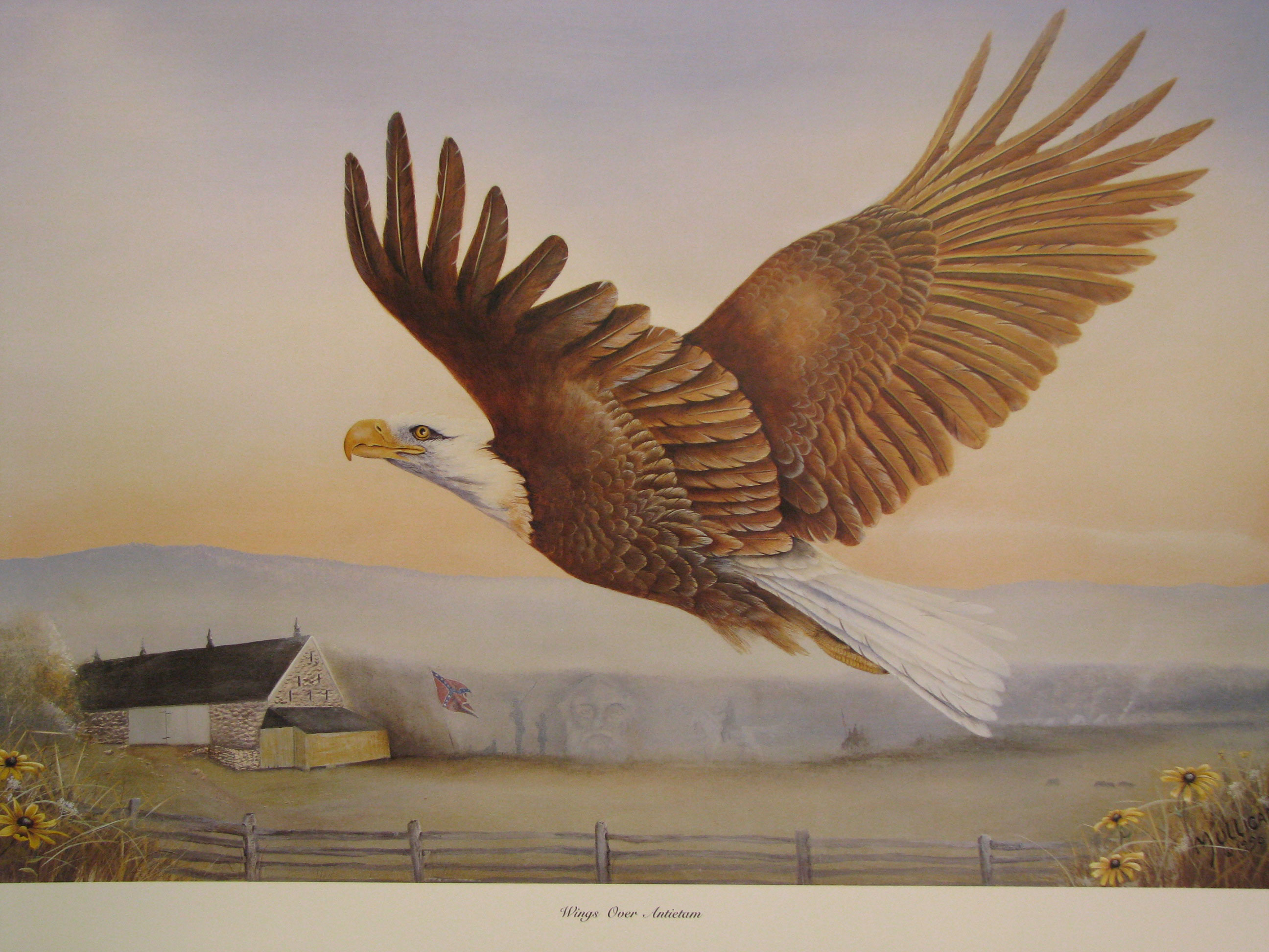 eagleant2p.jpg