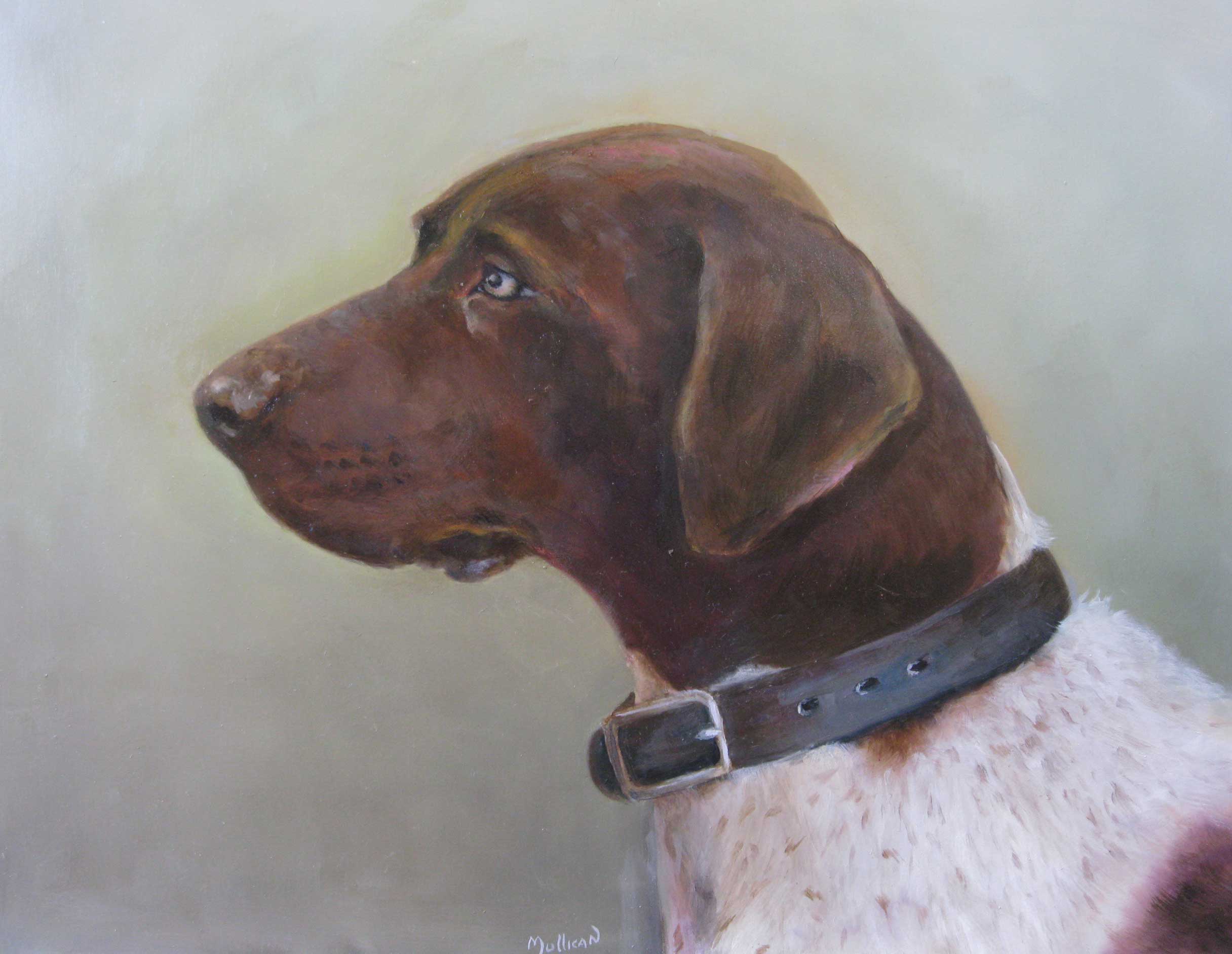 german-shorthair-2.jpg