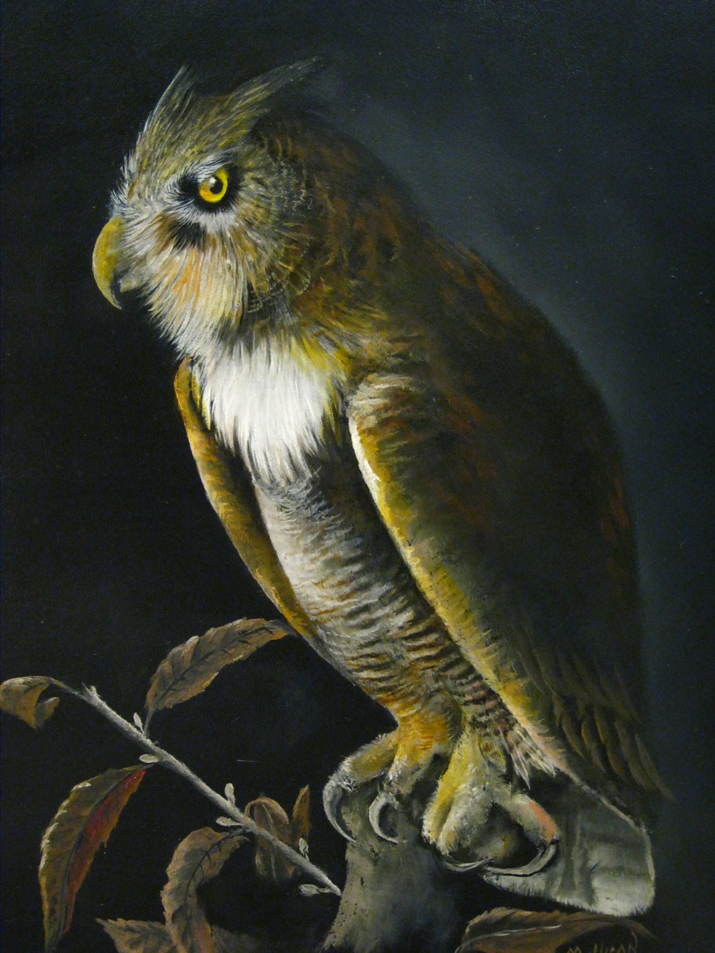 greathornedowl.jpg