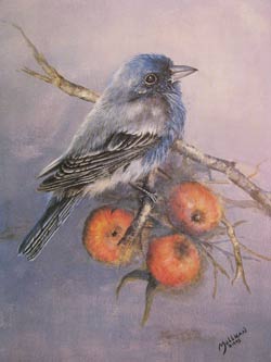 indigobunting.jpg