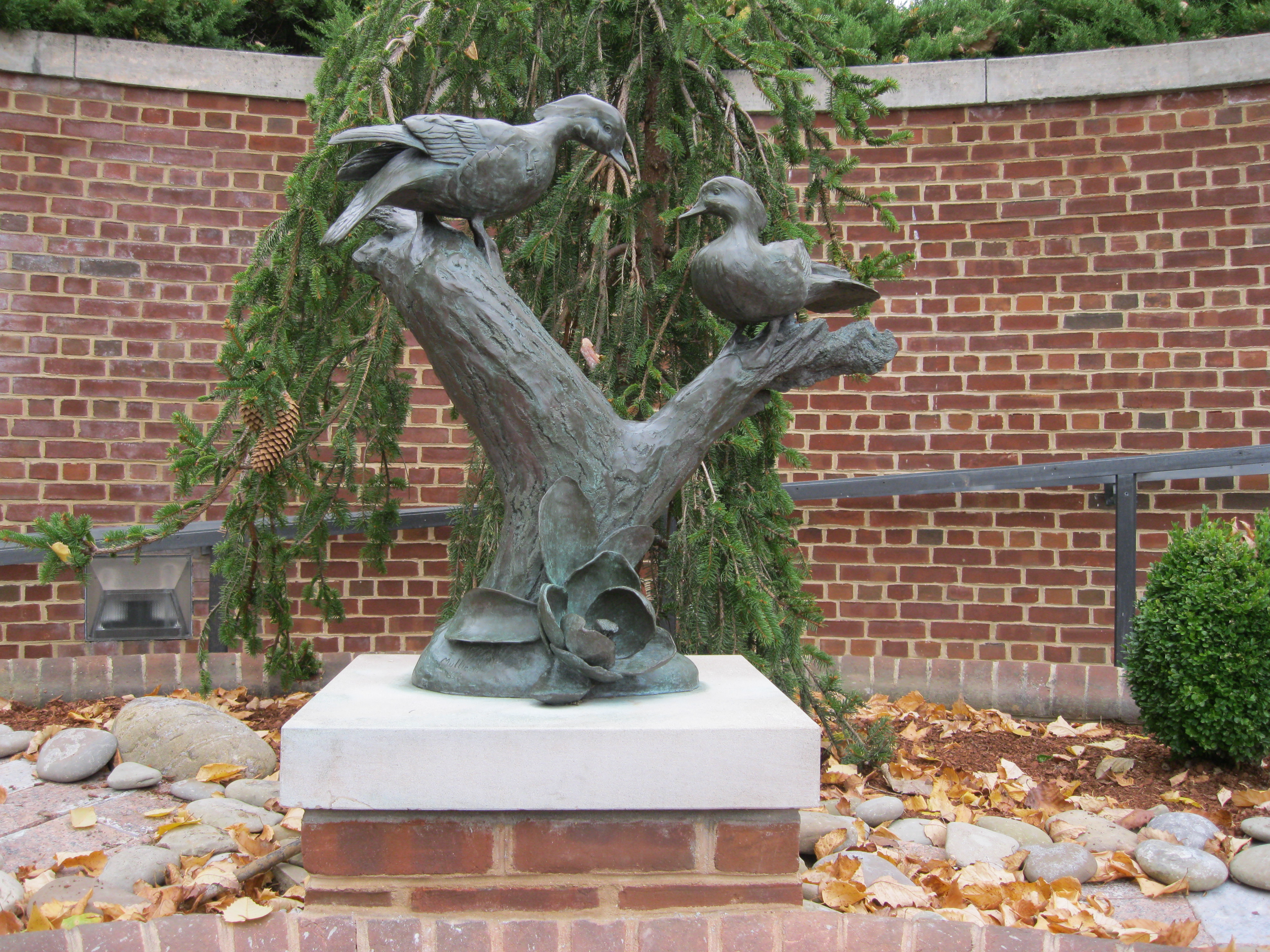 wcmfawoodducks.jpg